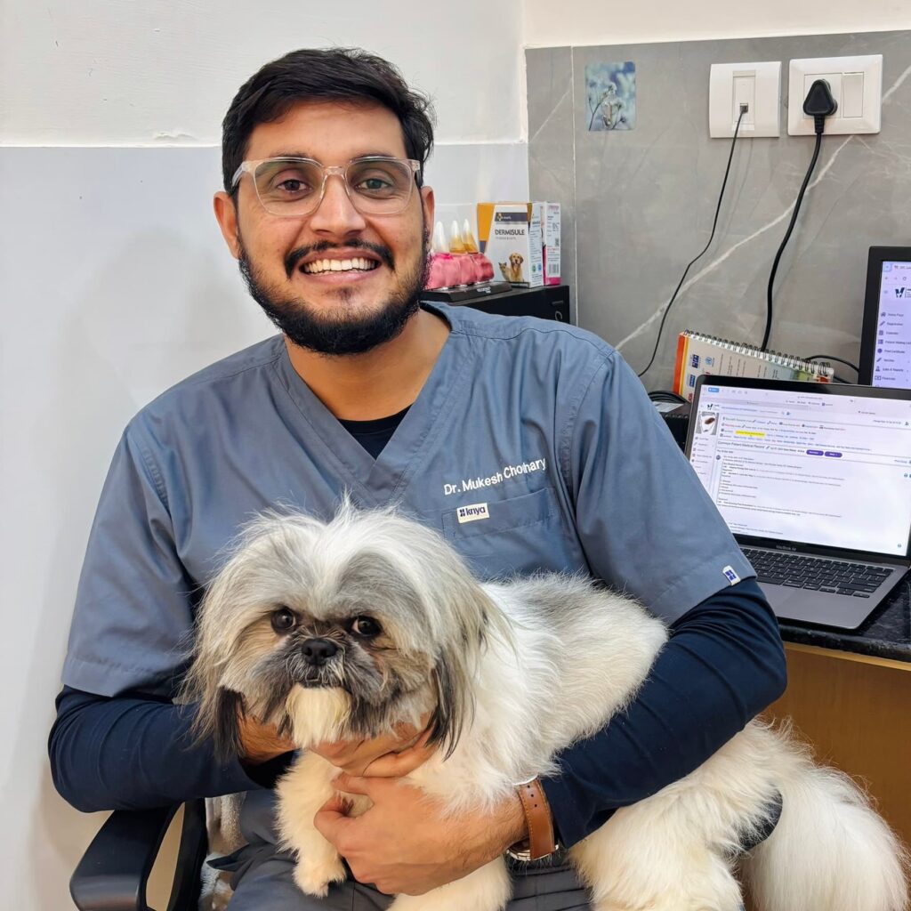 dr. mukesh choudhary (best veterinary dermatologist in india) dr. mukesh choudhary (best veterinary dermatologist in india)